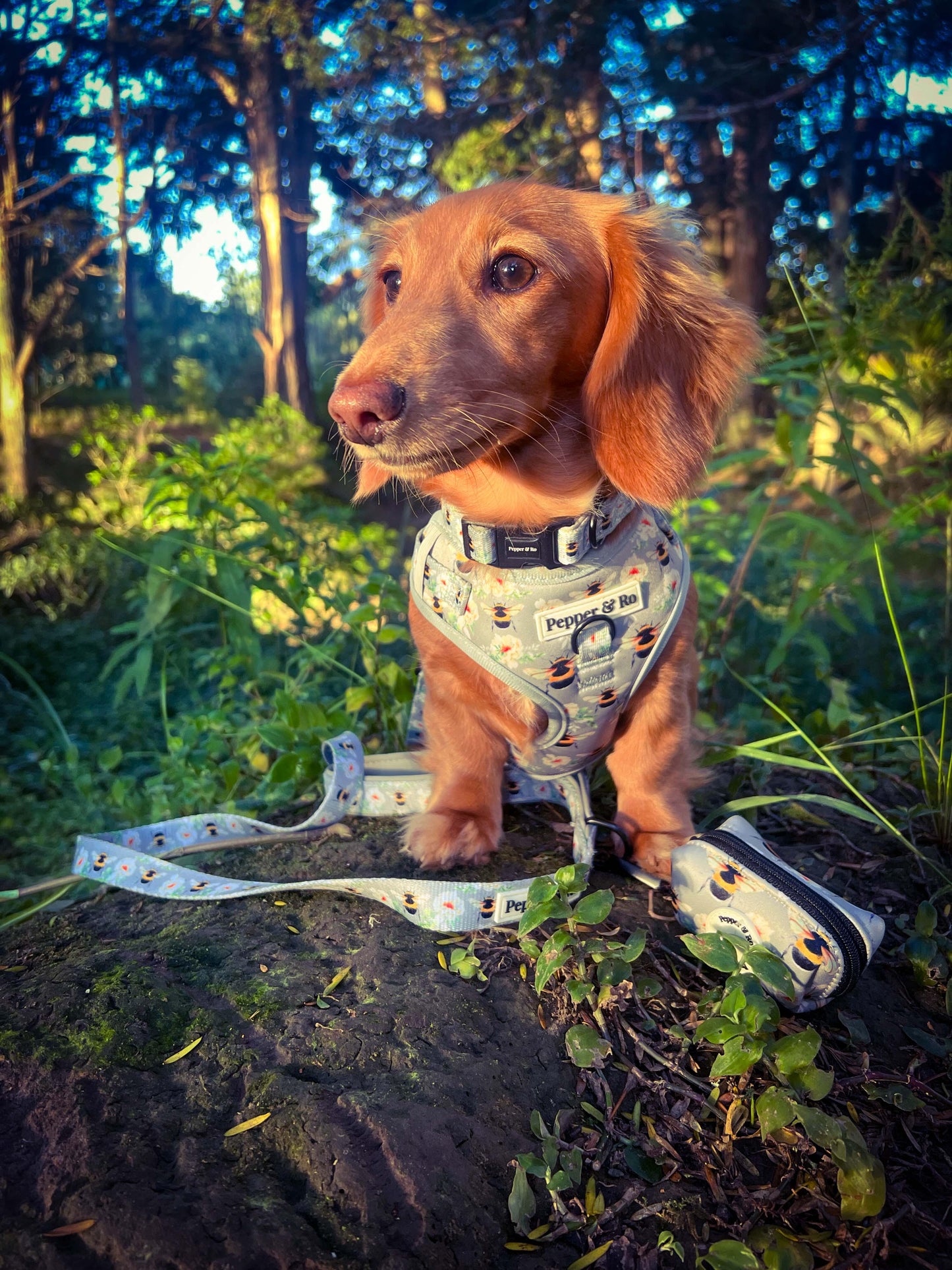 Bee Beautiful Collection