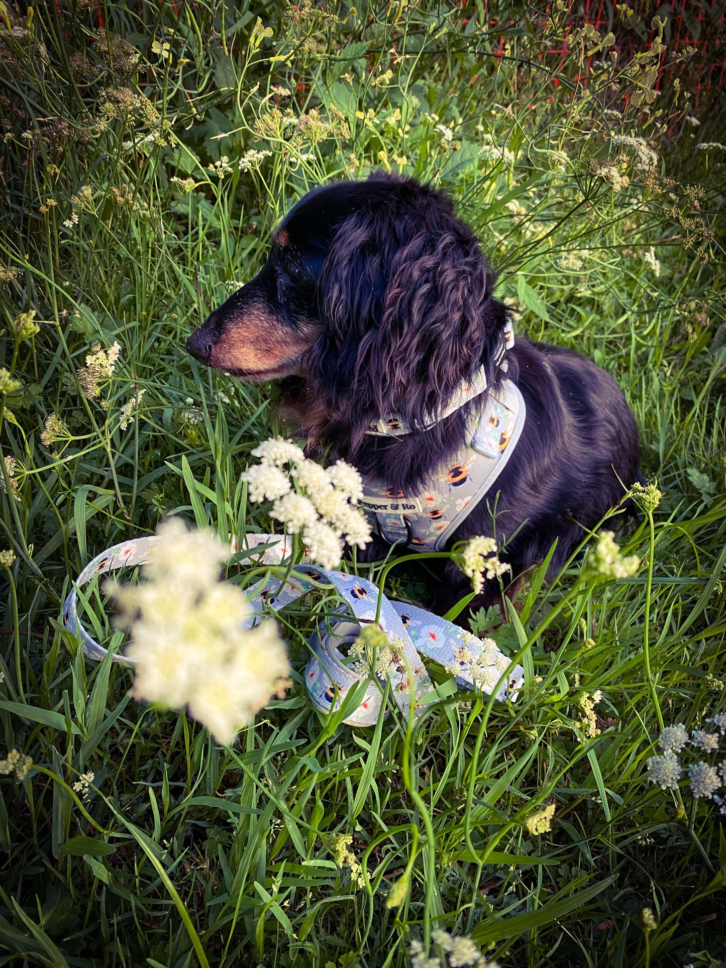 Bee Beautiful Collection