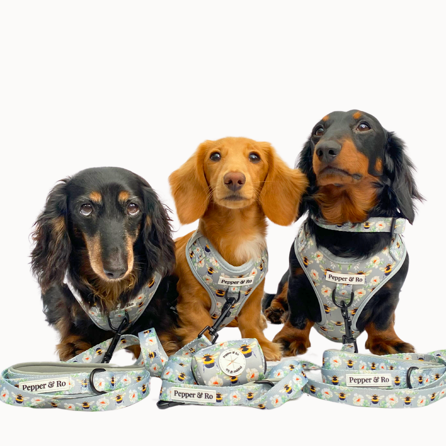 Bee Beautiful Collection