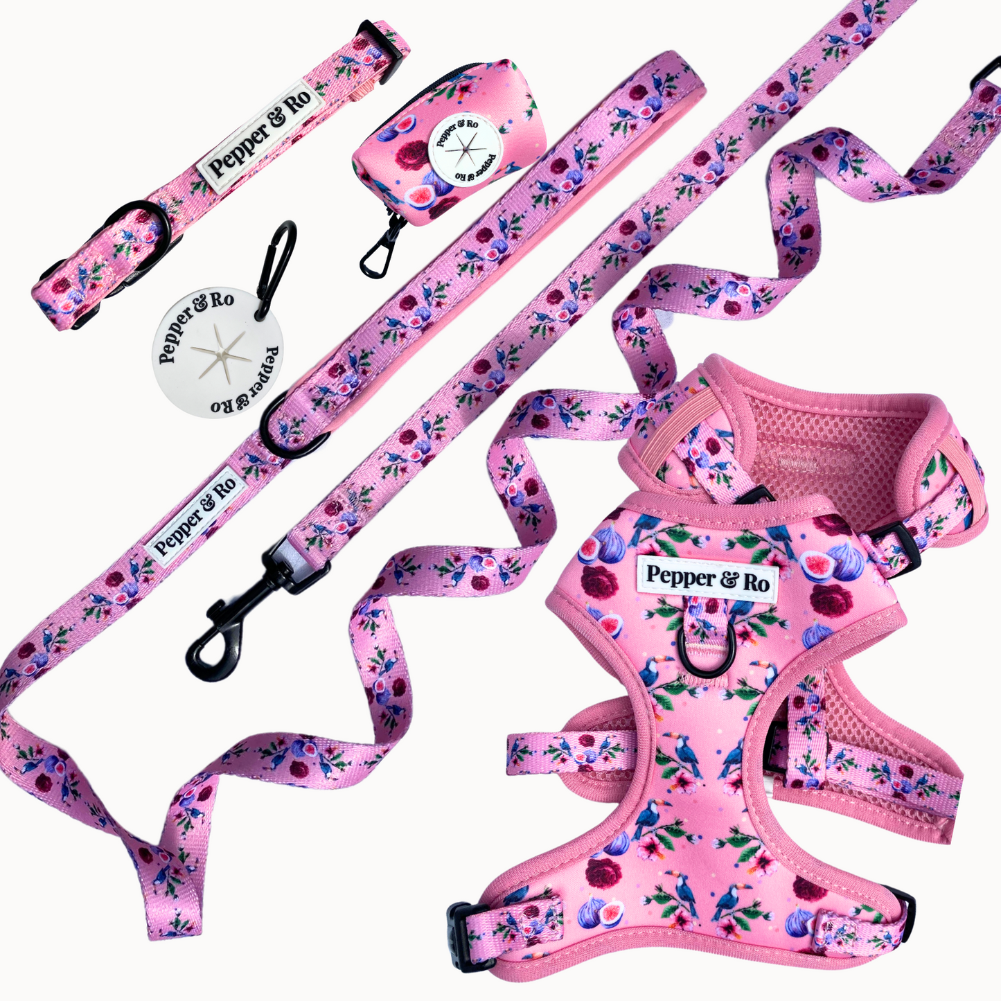 Cheeky Toucan - Collection