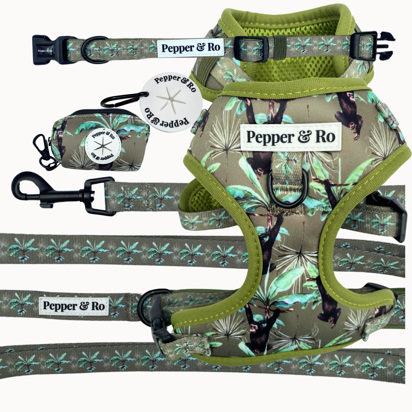 Jungle Monkey Collection